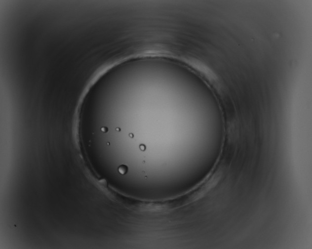 X0000100411374200806061332