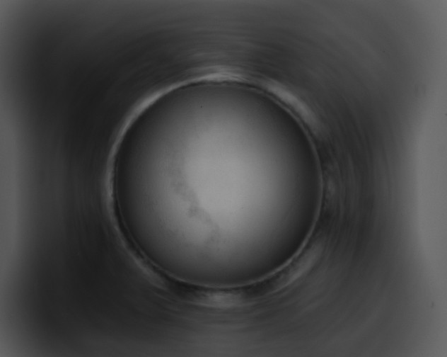 X0000100411375200806061332