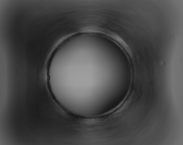 X0000100411376200806061332