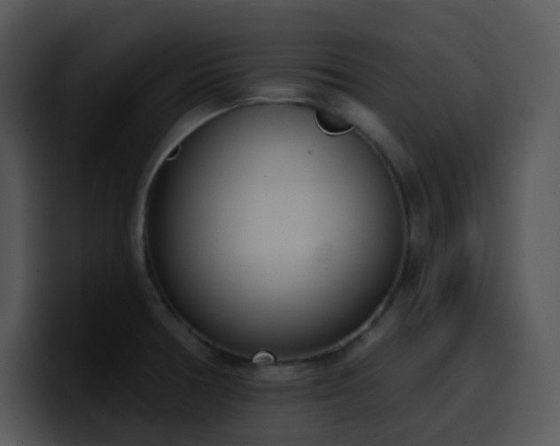 X0000100411378200806061332