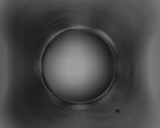 X0000100411380200806061332