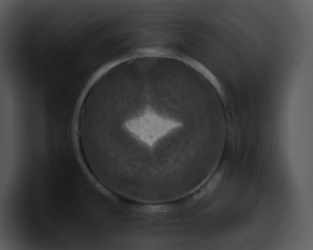 X0000100411381200806061332