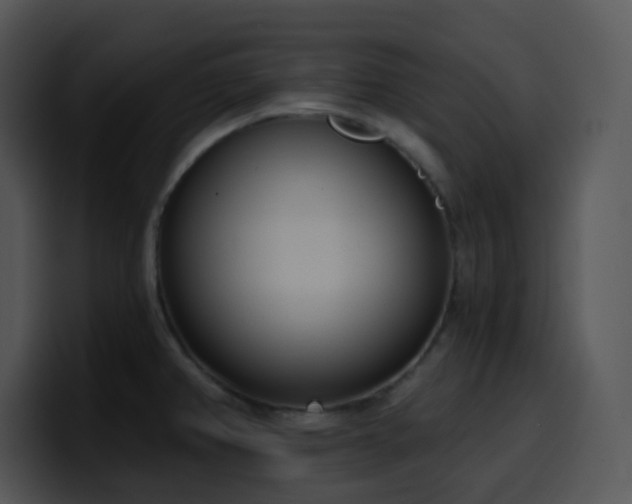 X0000100411382200806061332