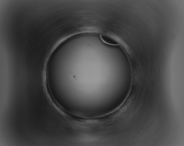 X0000100411383200806061332