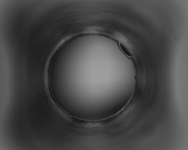 X0000100411384200806061332