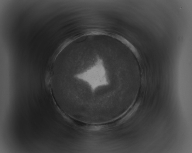 X0000100411385200806061332