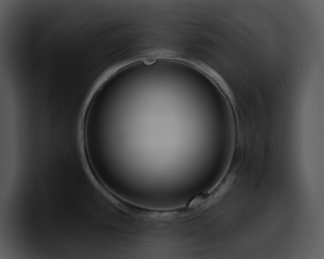 X0000100411389200806061332