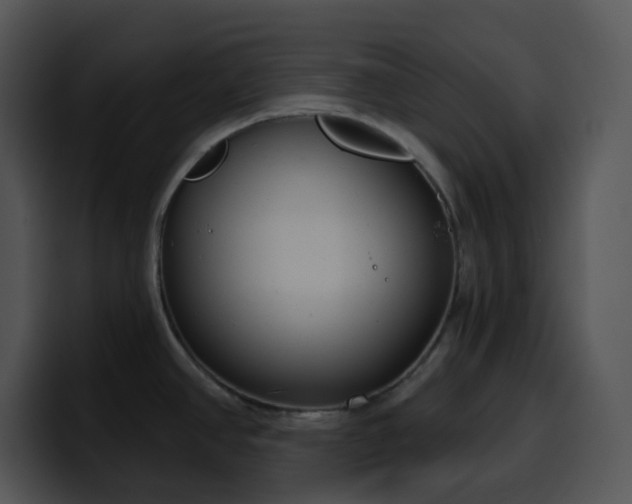X0000100411390200806061332
