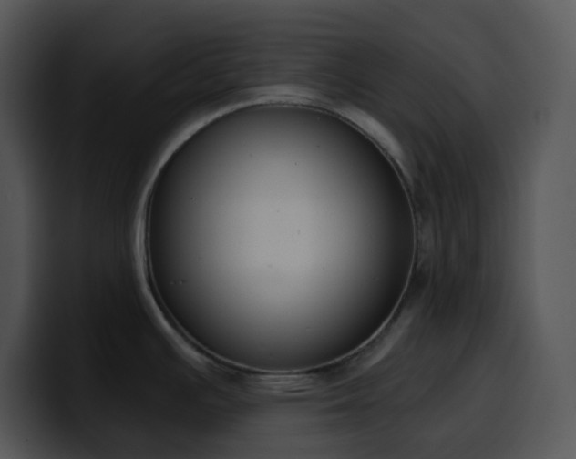 X0000100411391200806061332