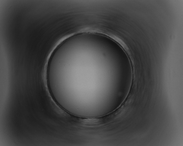X0000100411392200806061332