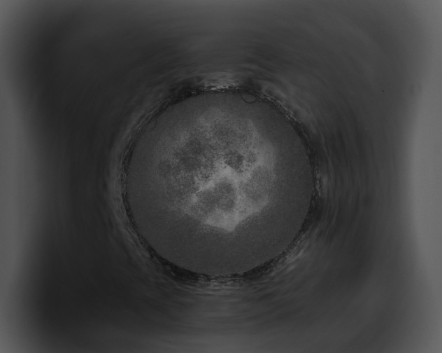X0000100411393200806061331