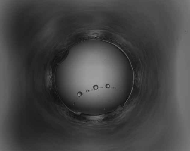 X0000100411394200806061331