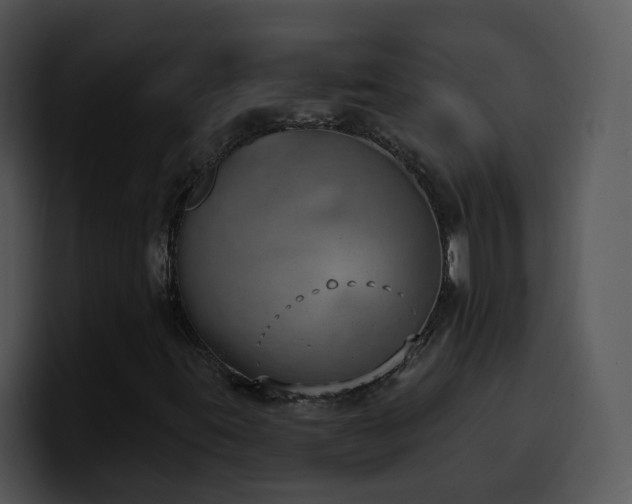 X0000100411395200806061331