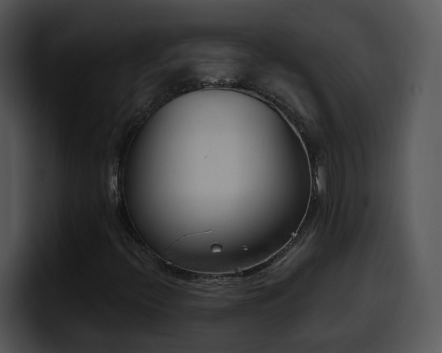 X0000100411396200806061331