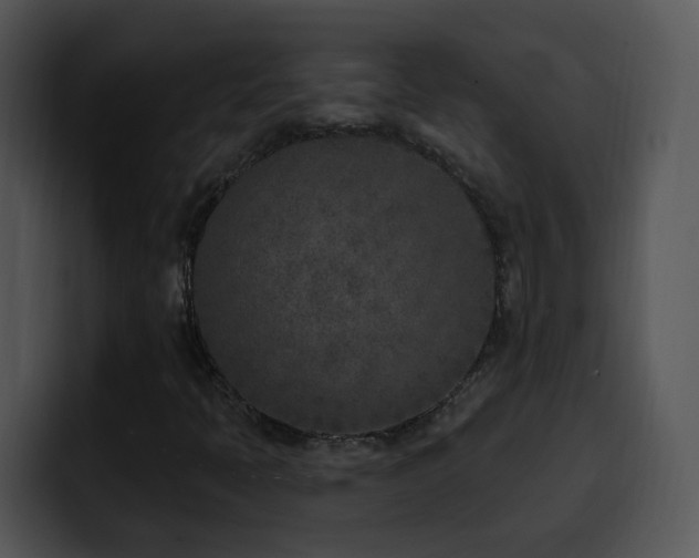X0000100411397200806061331