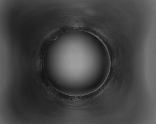 X0000100411398200806061331