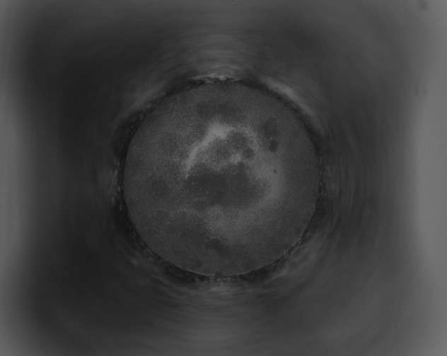 X0000100411399200806061331