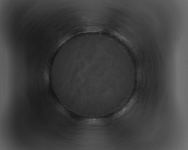 X0000100411401200806061331