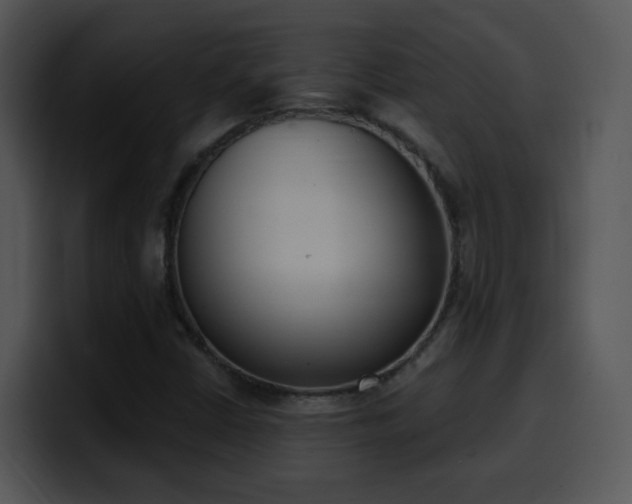 X0000100411402200806061331