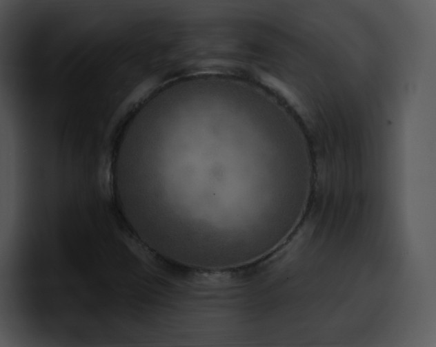 X0000100411403200806061331