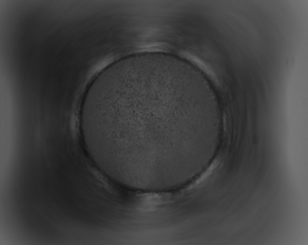 X0000100411405200806061331