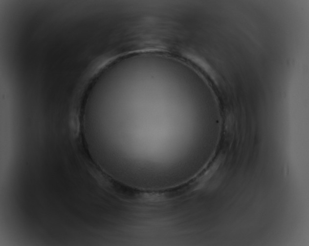 X0000100411407200806061331