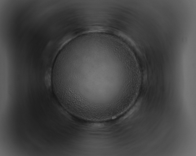X0000100411409200806061331