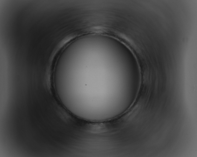 X0000100411410200806061331