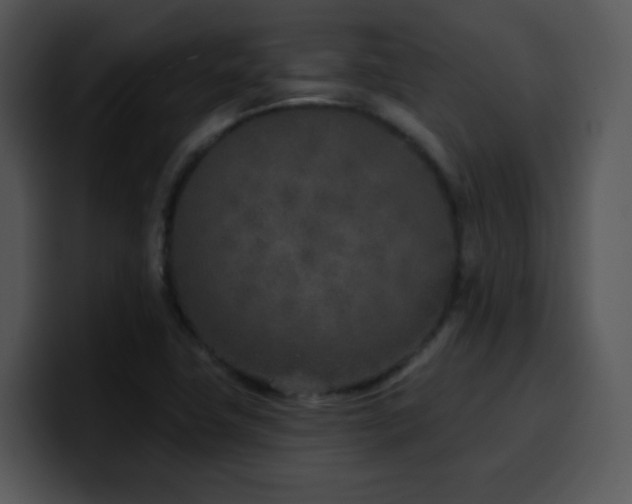 X0000100411411200806061331
