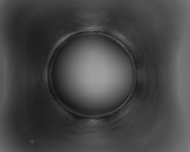X0000100411412200806061331