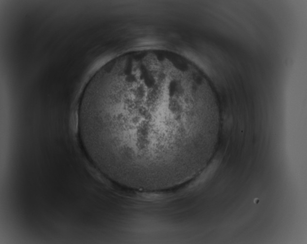 X0000100411413200806061331