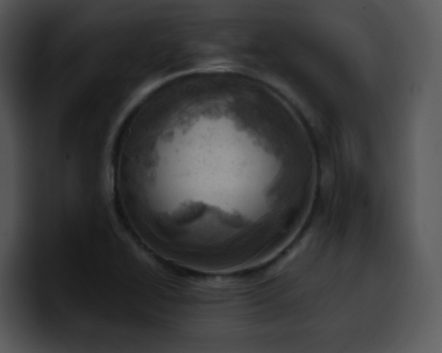 X0000100411414200806061331