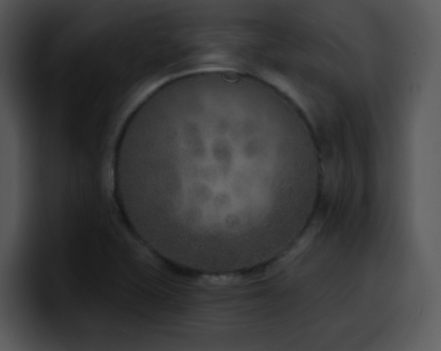 X0000100411415200806061331