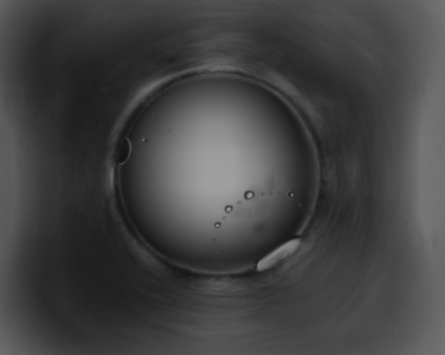 X0000100411416200806061331