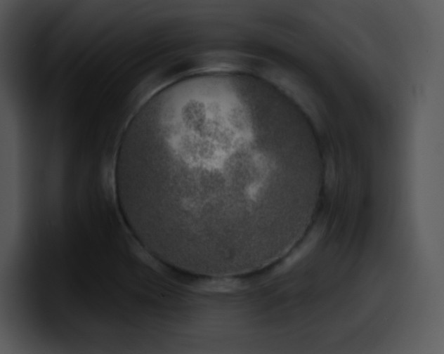 X0000100411417200806061331