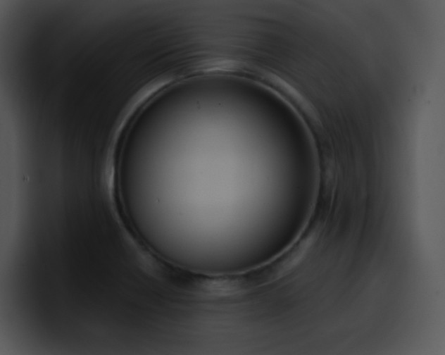 X0000100411418200806061331