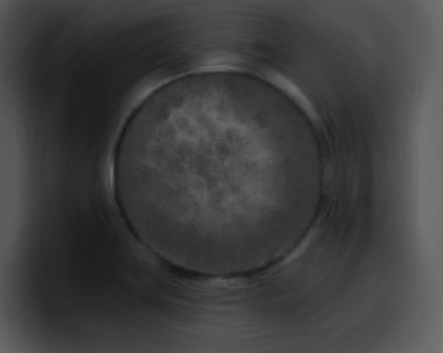 X0000100411419200806061331