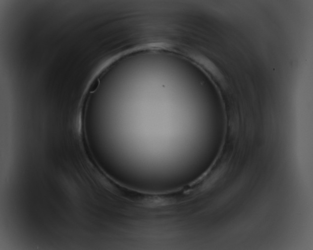 X0000100411420200806061331
