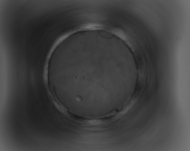 X0000100411421200806061331