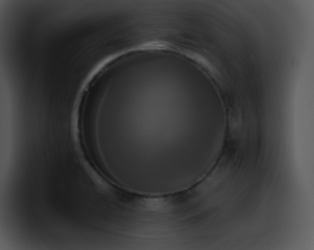 X0000100411422200806061331