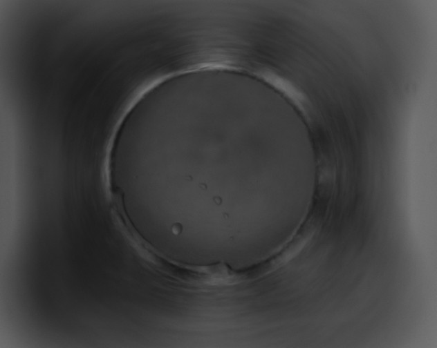 X0000100411423200806061331