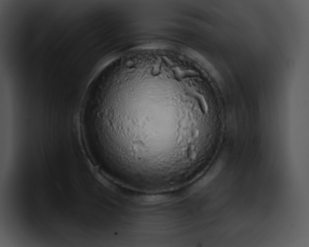 X0000100411425200806061331