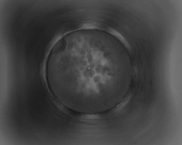 X0000100411427200806061331