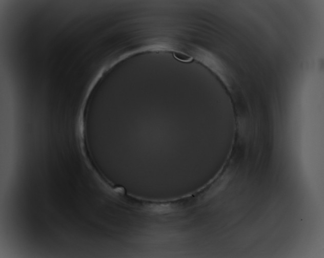 X0000100411428200806061331