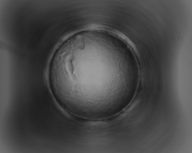 X0000100411429200806061332