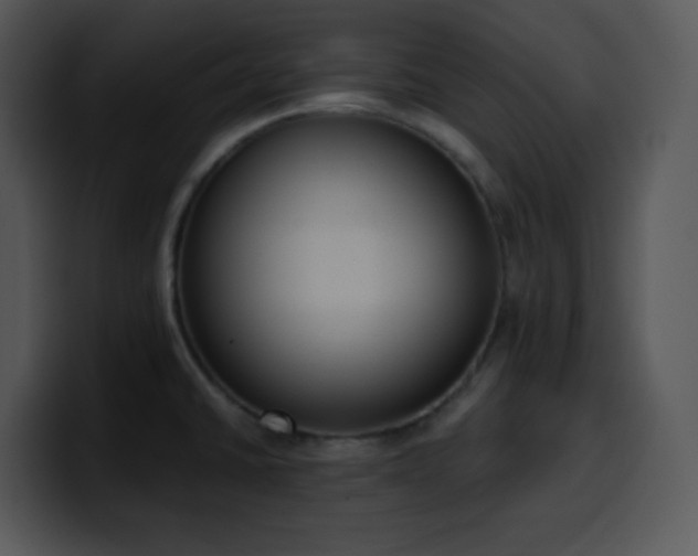 X0000100411430200806061332