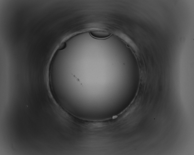 X0000100411431200806061332