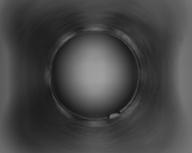 X0000100411433200806061332