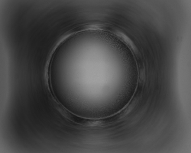 X0000100411435200806061332