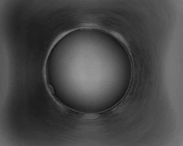 X0000100411440200806061332